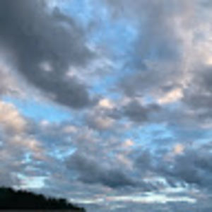 Meet your Posher, Adeline